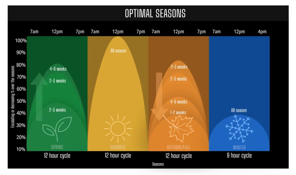 Seasonality graphic